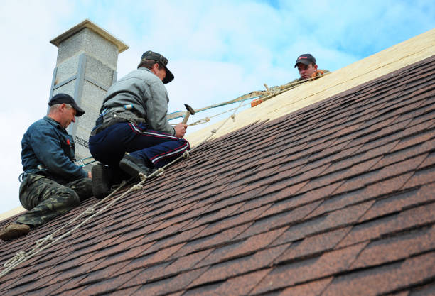 Best New Roof Installation  in Hercules, CA
