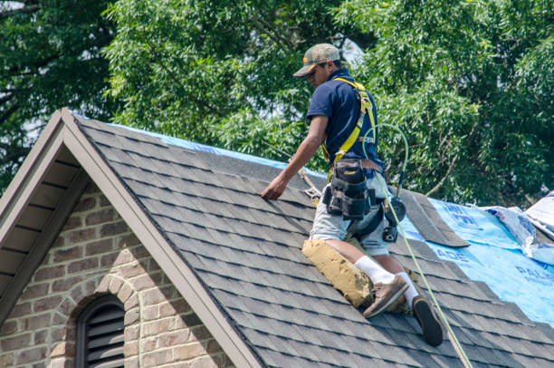 Quick and Trustworthy Emergency Roof Repair Services in Hercules, CA